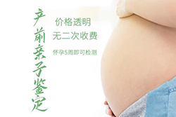 鄂州怀孕了如何办理亲子鉴定最简单方便，鄂州怀孕亲子鉴定价格